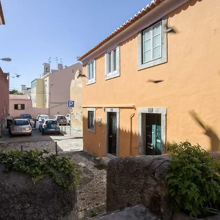 Appartamento Typical And Brand New T.m. Flat *